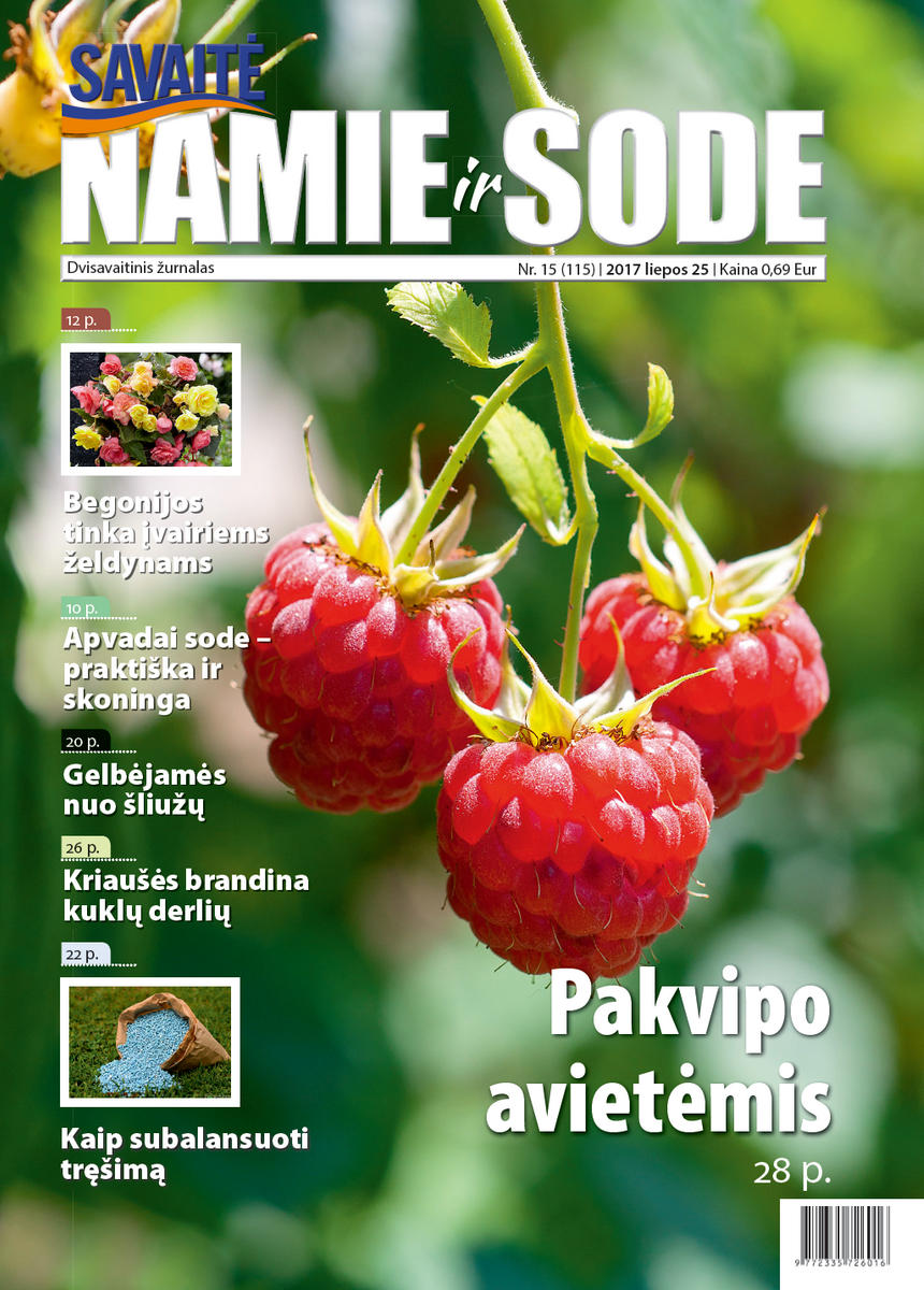 Namie Ir Sode 15 (2017) Namie Ir Sode 15 (2017)