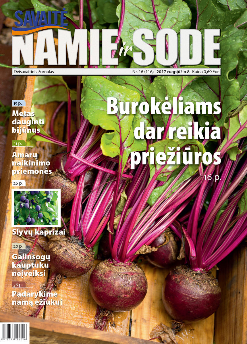 Namie Ir Sode 16 (2017) Namie Ir Sode 16 (2017)