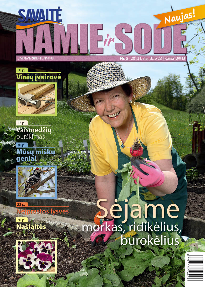 Namie Ir Sode 05 (2013)