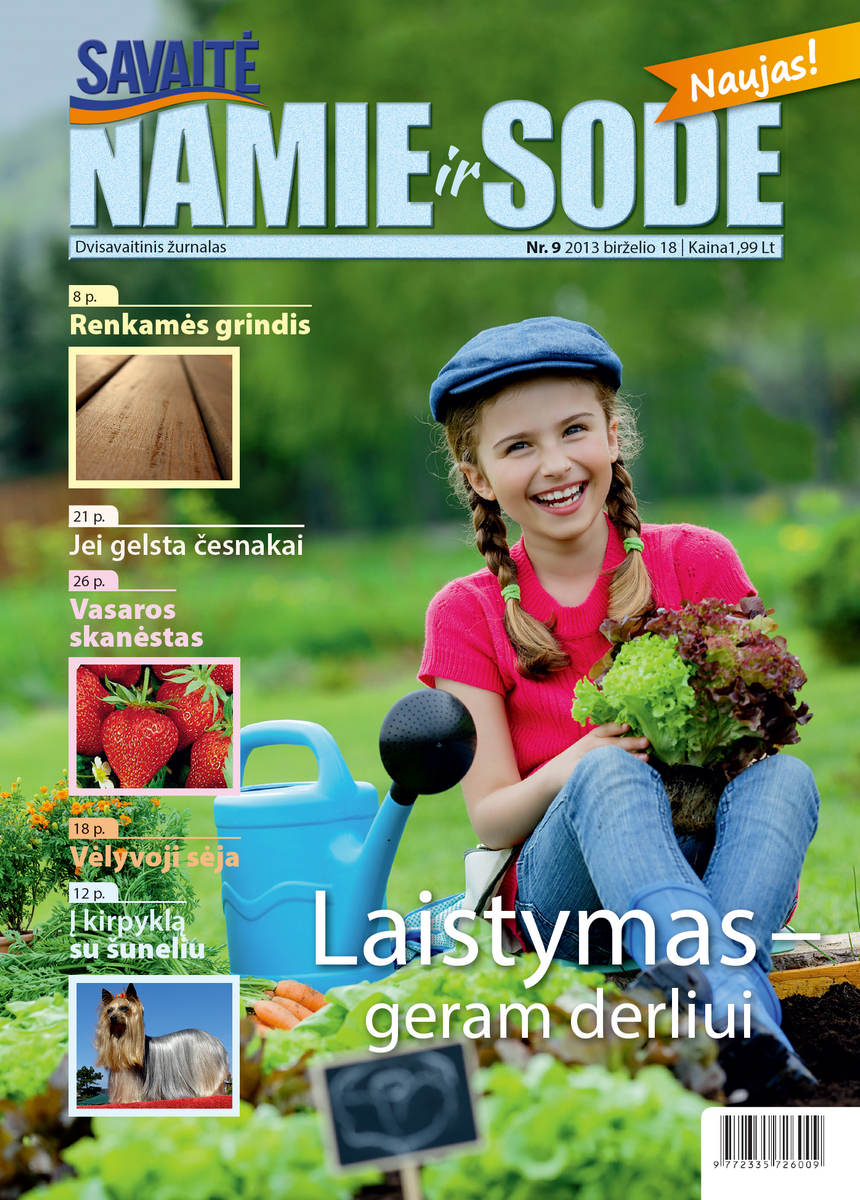 Namie Ir Sode 09 (2013) Namie Ir Sode 09 (2013)