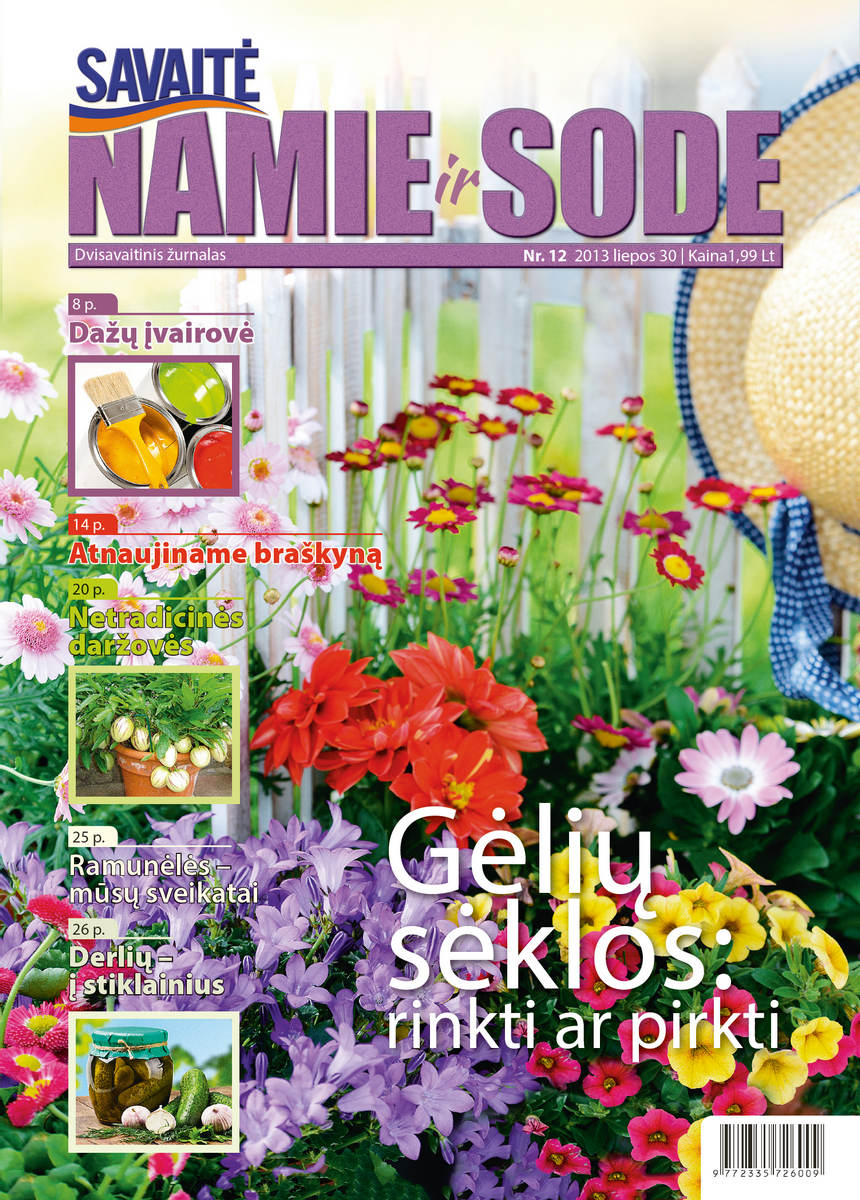 Namie Ir Sode 12 (2013)