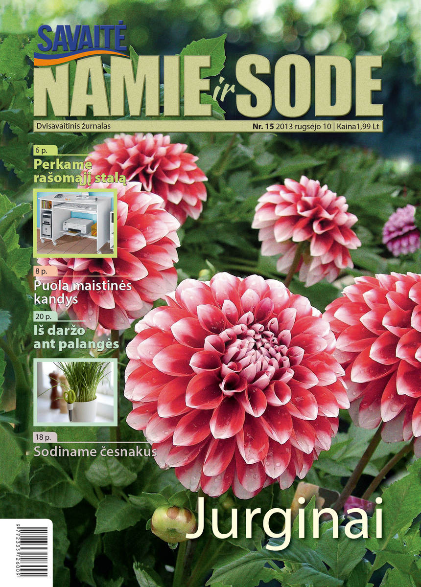 Namie Ir Sode 15 (2013) Namie Ir Sode 15 (2013)