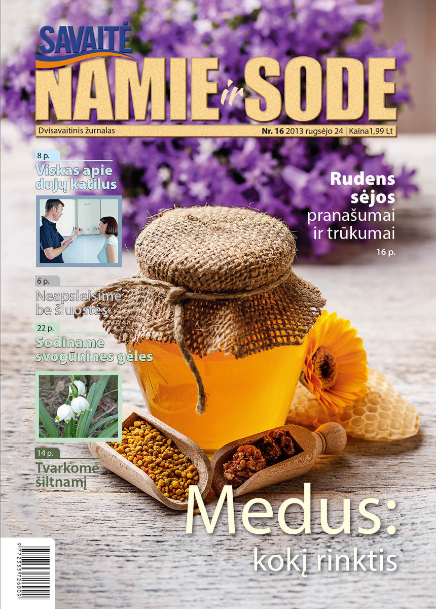 Namie Ir Sode 16 (2013) Namie Ir Sode 16 (2013)