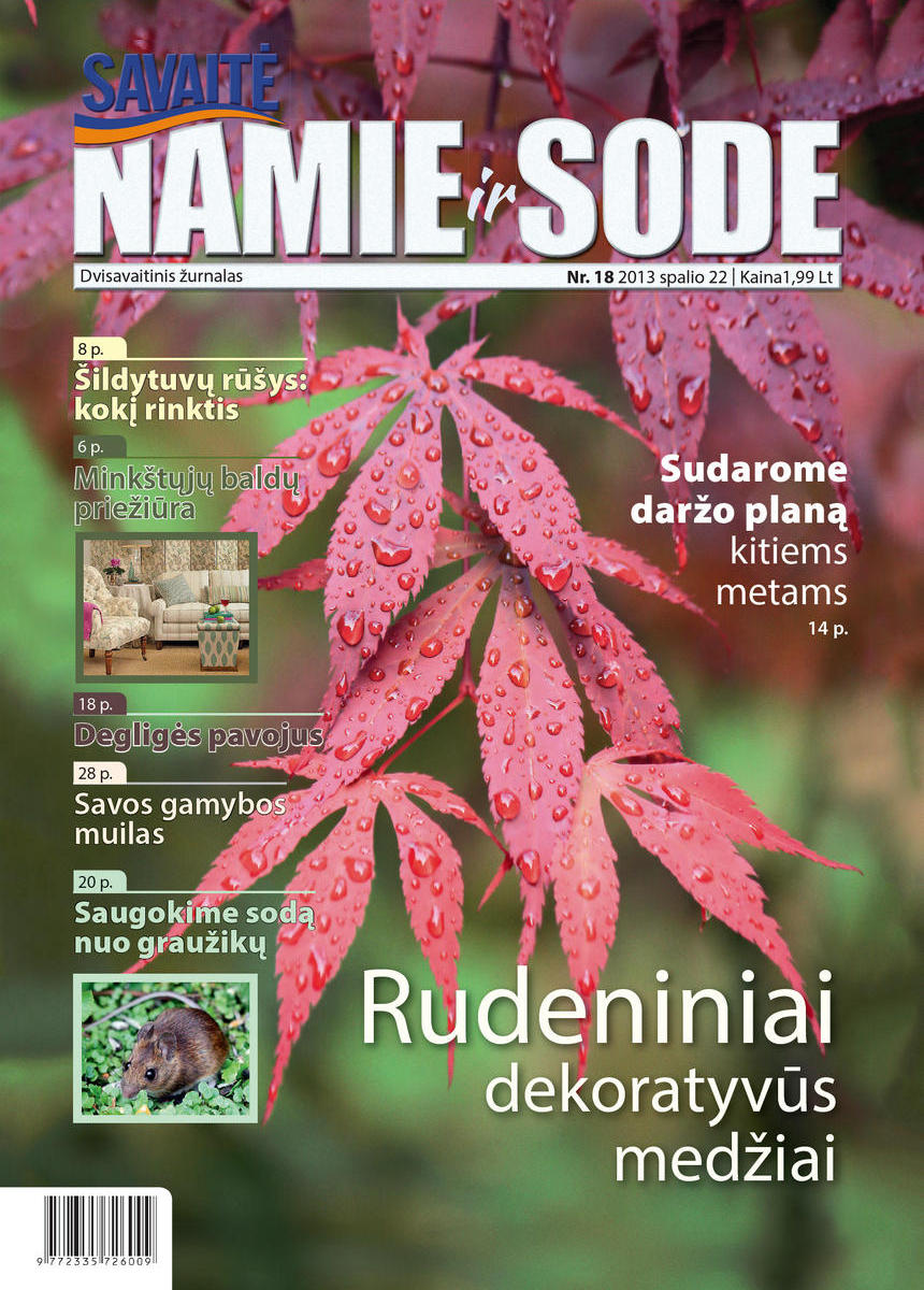 Namie Ir Sode 18 (2013)