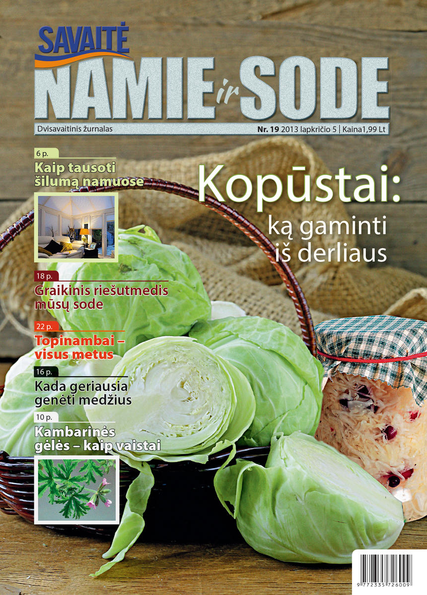 Namie Ir Sode 19 (2013) Namie Ir Sode 19 (2013)