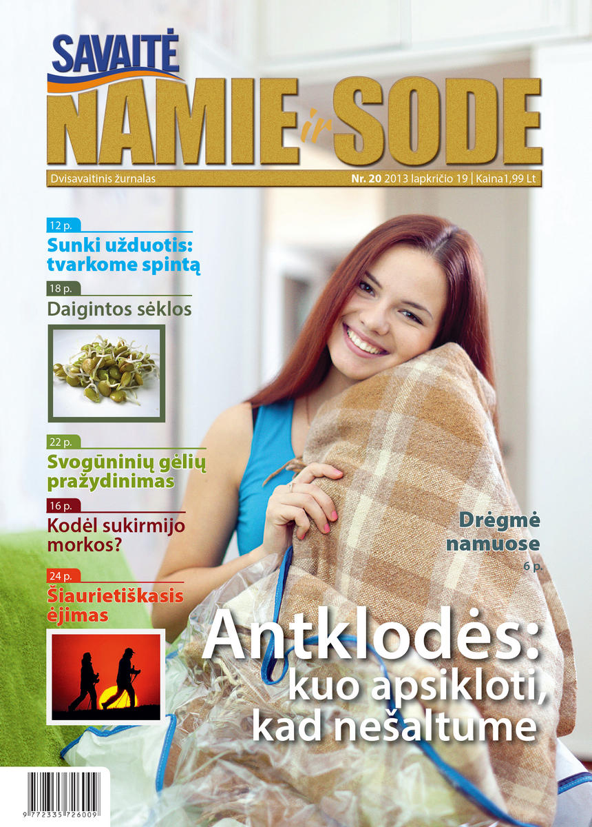 Namie Ir Sode 20 (2013)