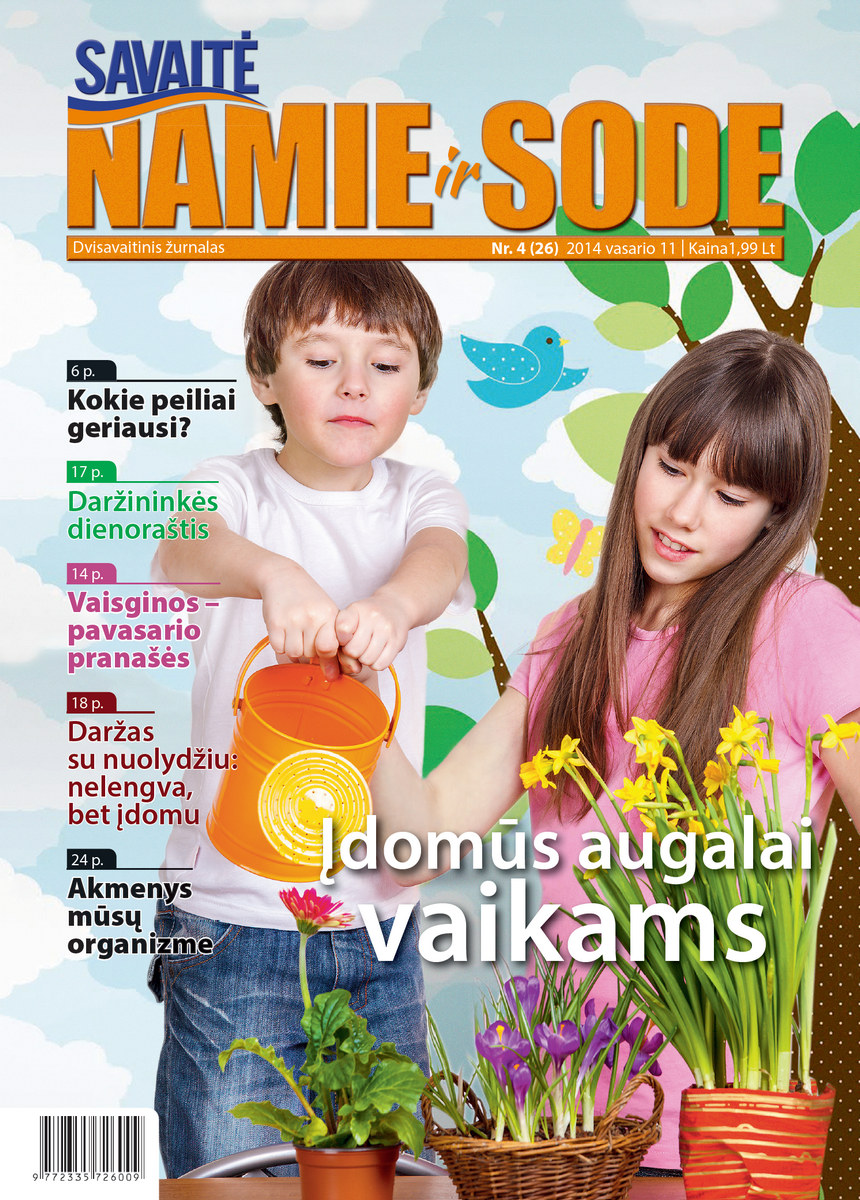 Namie Ir Sode 04 (2014) Namie Ir Sode 04 (2014)