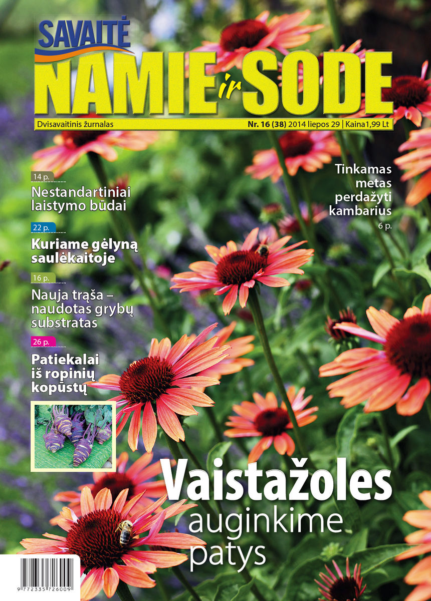 Namie Ir Sode 16 (2014) Namie Ir Sode 16 (2014)