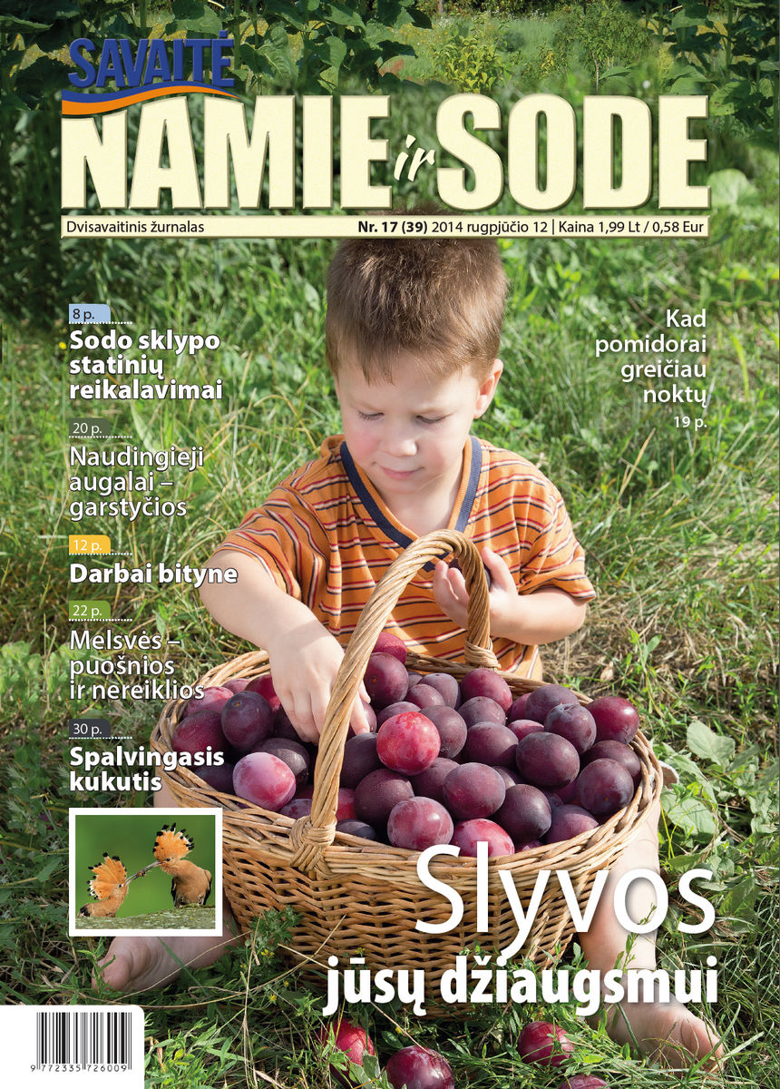 Namie Ir Sode 17 (2014) Namie Ir Sode 17 (2014)