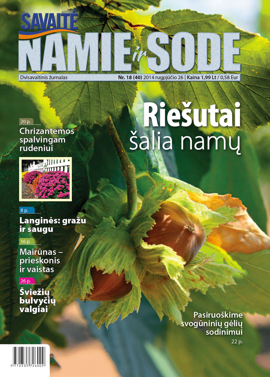 Namie Ir Sode 18 (2014)