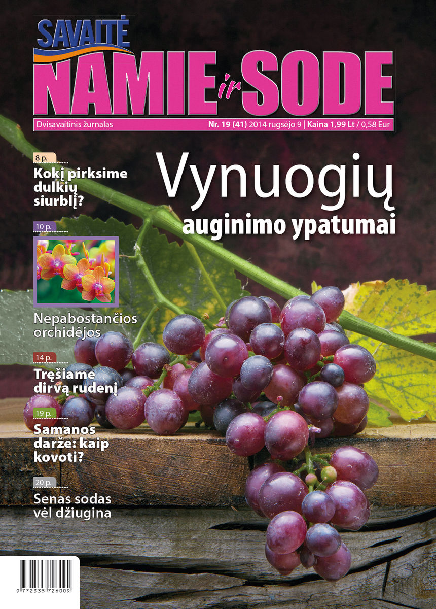 Namie Ir Sode 19 (2014) Namie Ir Sode 19 (2014)