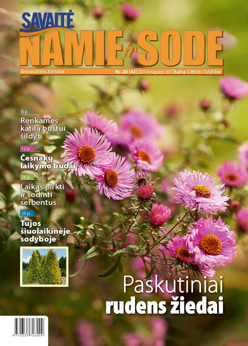 Namie Ir Sode 20 (2014) Namie Ir Sode 20 (2014)