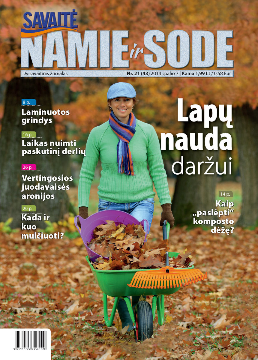 Namie Ir Sode 21 (2014) Namie Ir Sode 21 (2014)