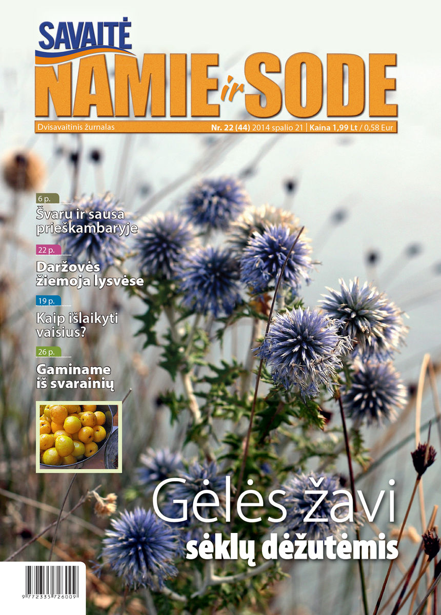 Namie Ir Sode 22 (2014)