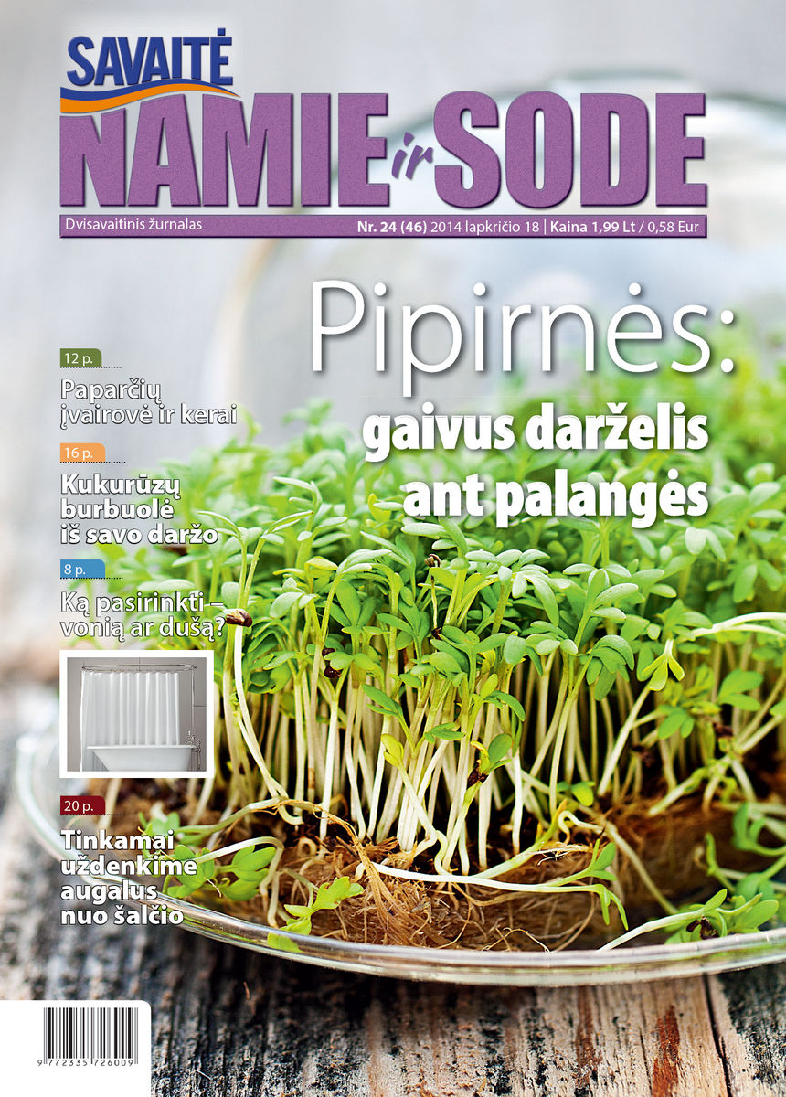 Namie Ir Sode 24 (2014) Namie Ir Sode 24 (2014)