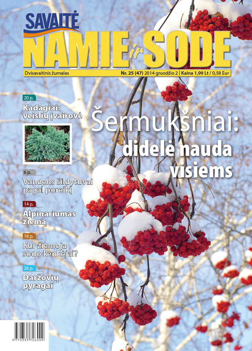 Namie Ir Sode 25 (2014)