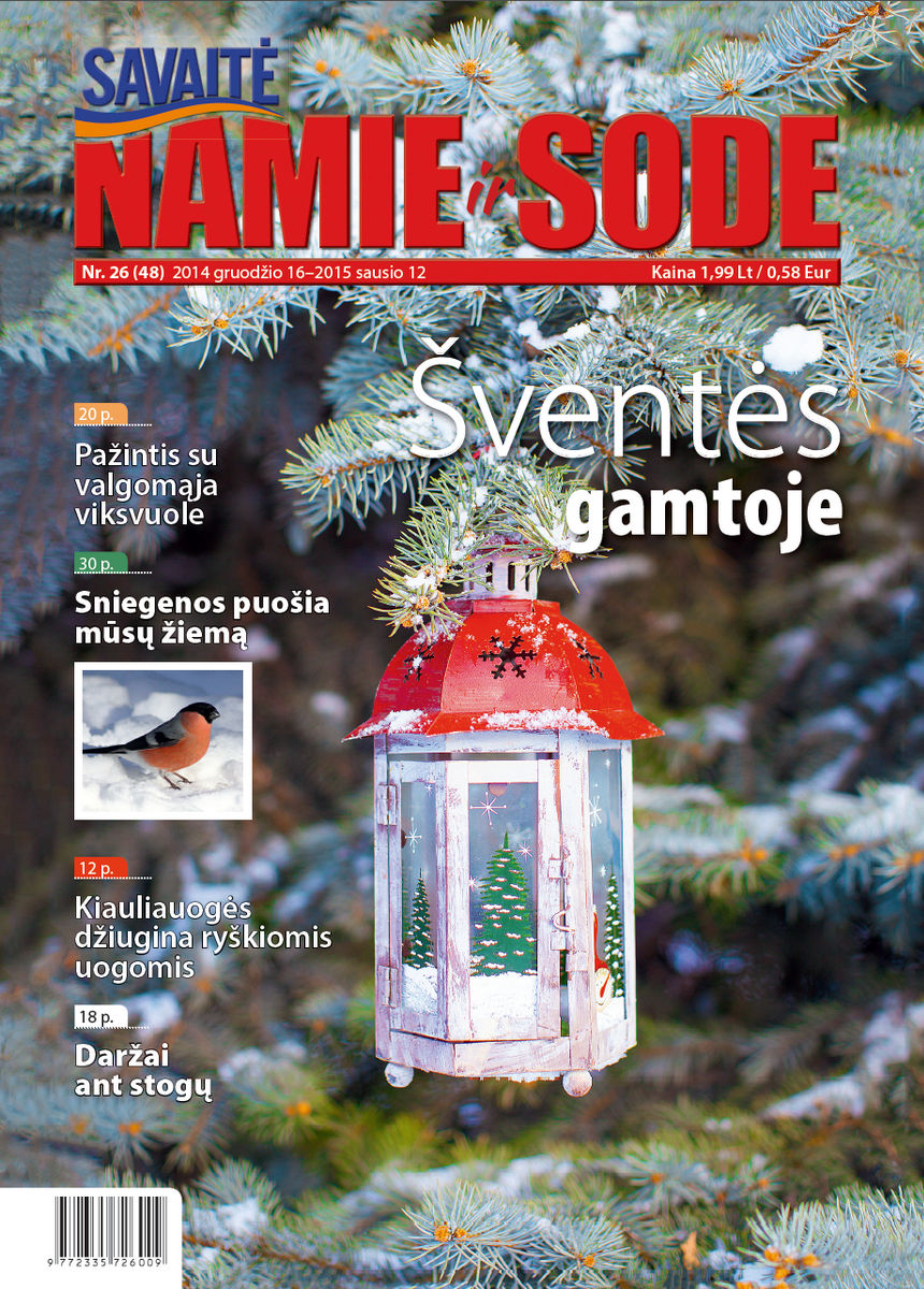 Namie Ir Sode 26 (2014)