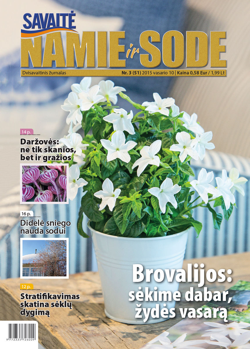 Namie Ir Sode 03 (2015)