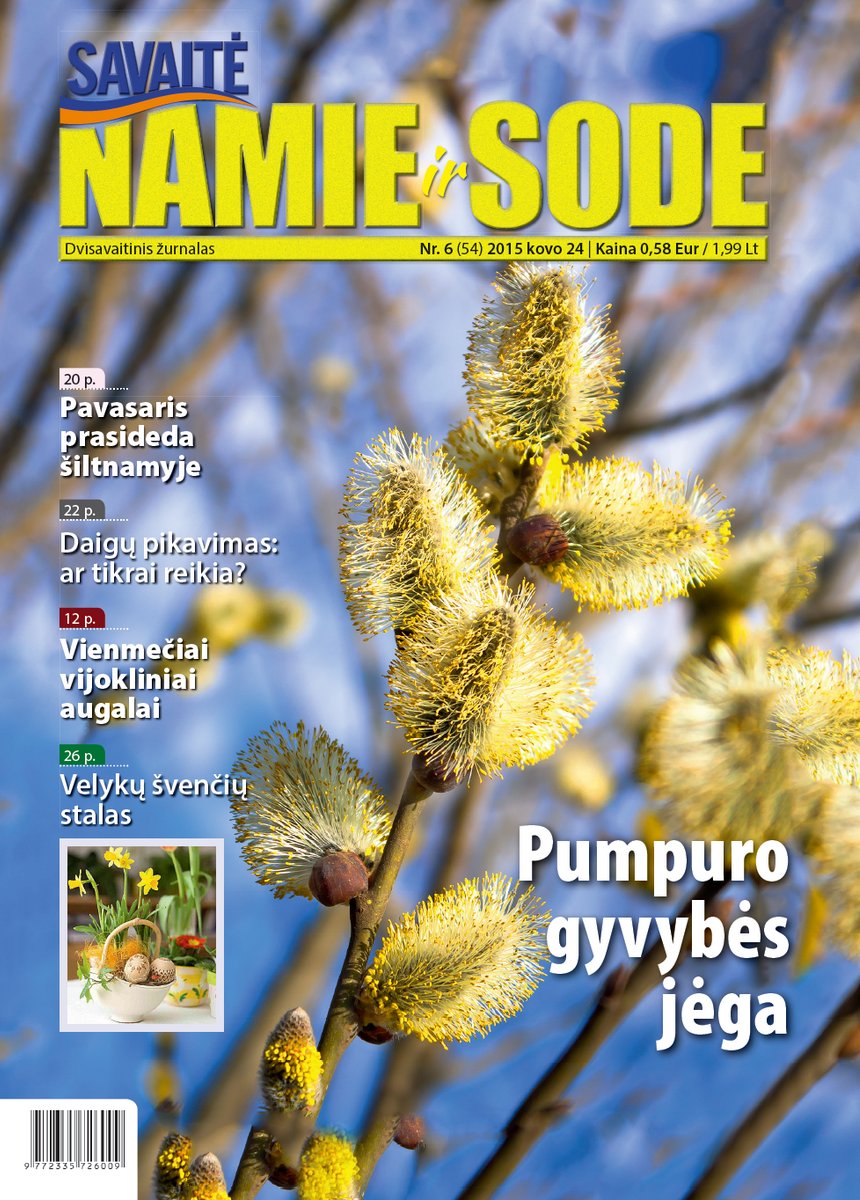 Namie Ir Sode 06 (2015) Namie Ir Sode 06 (2015)