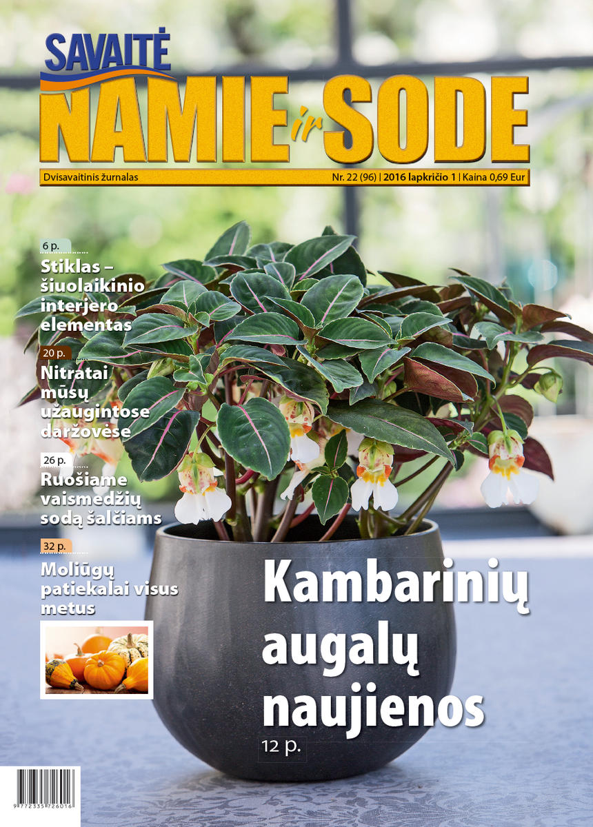 Namie Ir Sode 22 (2016)