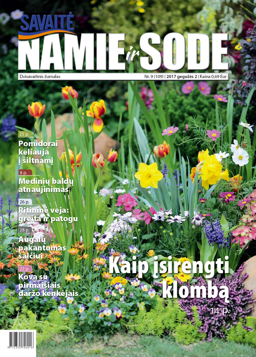 Namie Ir Sode 09 (2017)