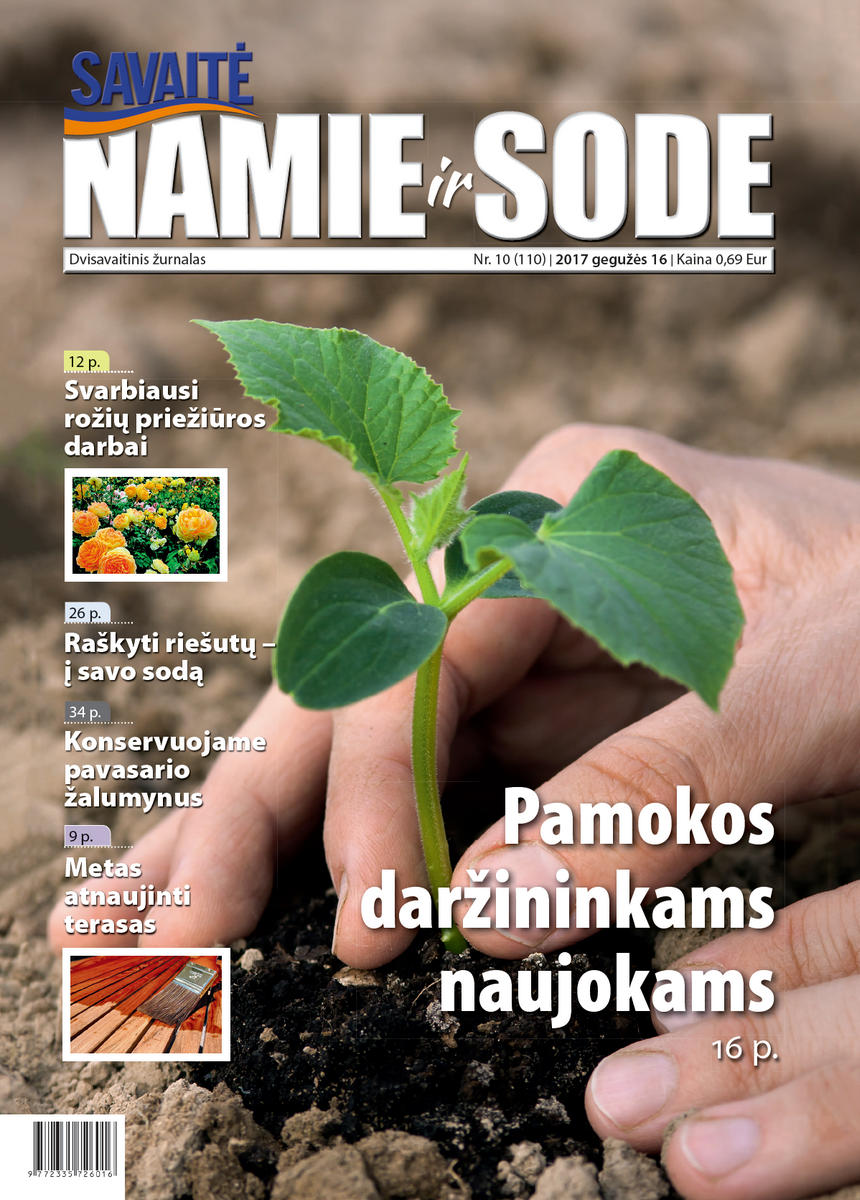 Namie Ir Sode 10 (2017)