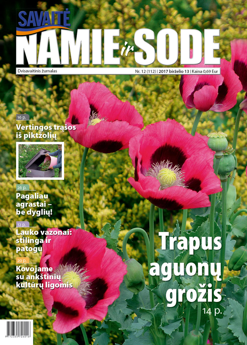 Namie Ir Sode 12 (2017)