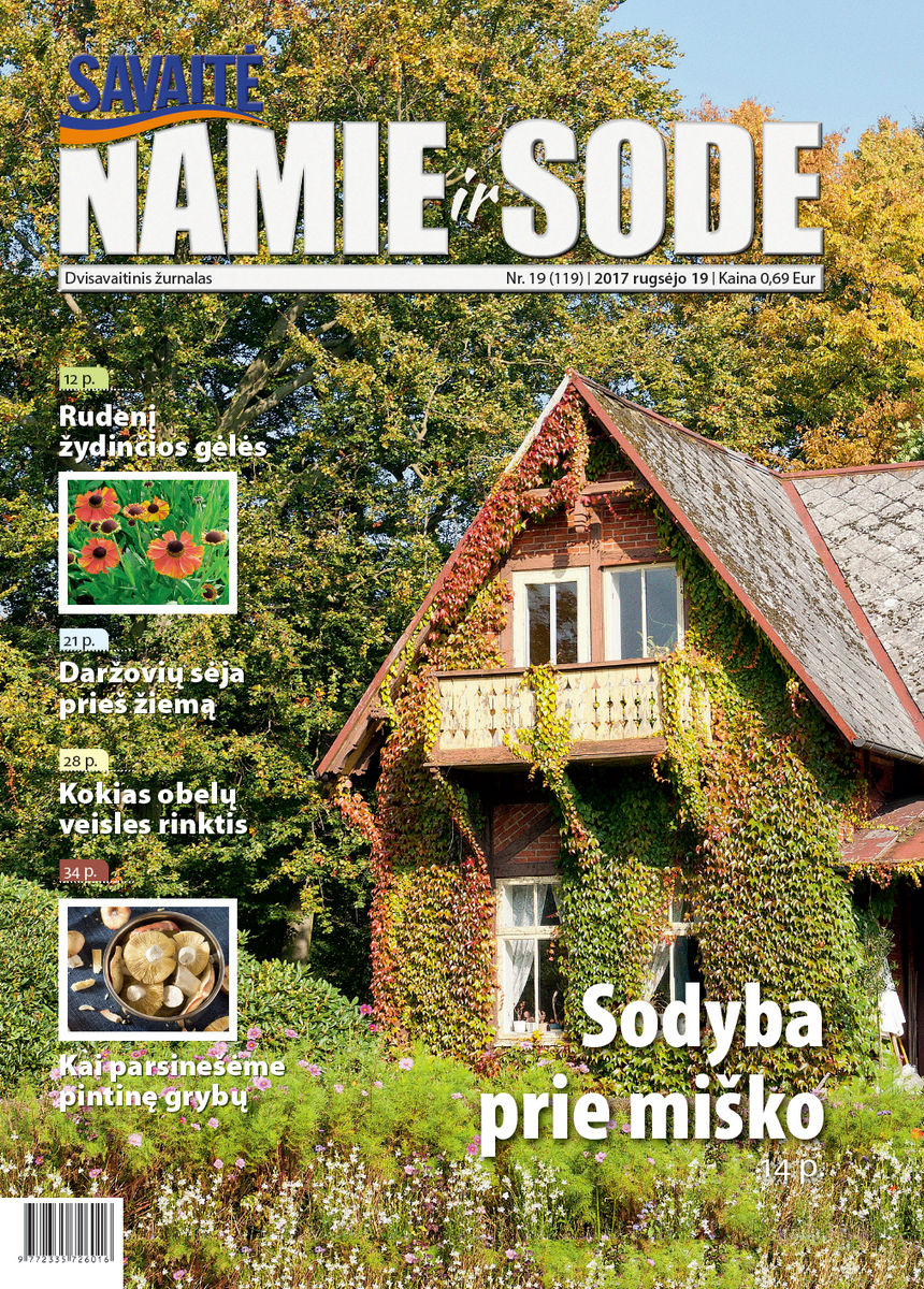 Namie Ir Sode 19 (2017)