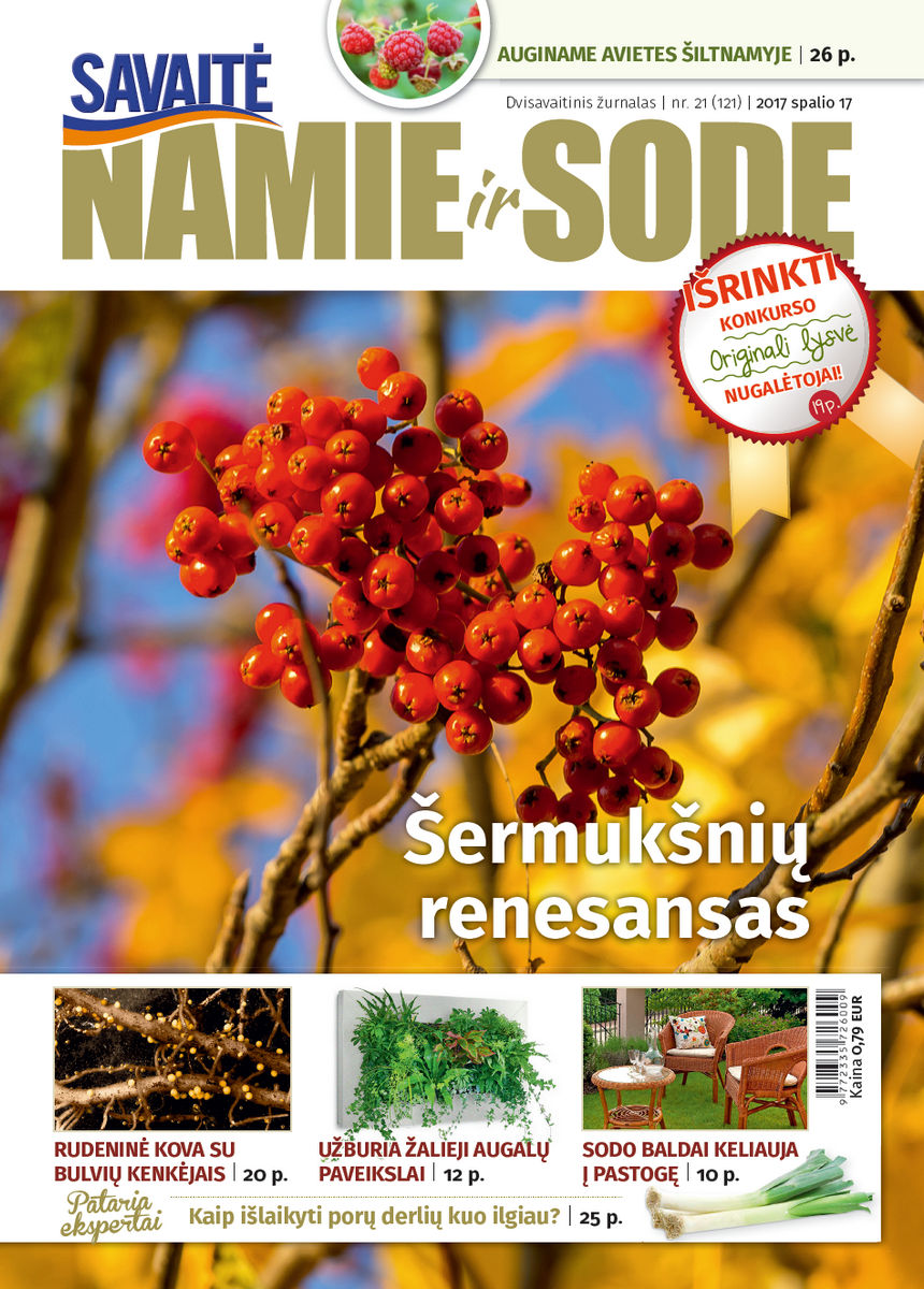 Namie Ir Sode 21 (2017)