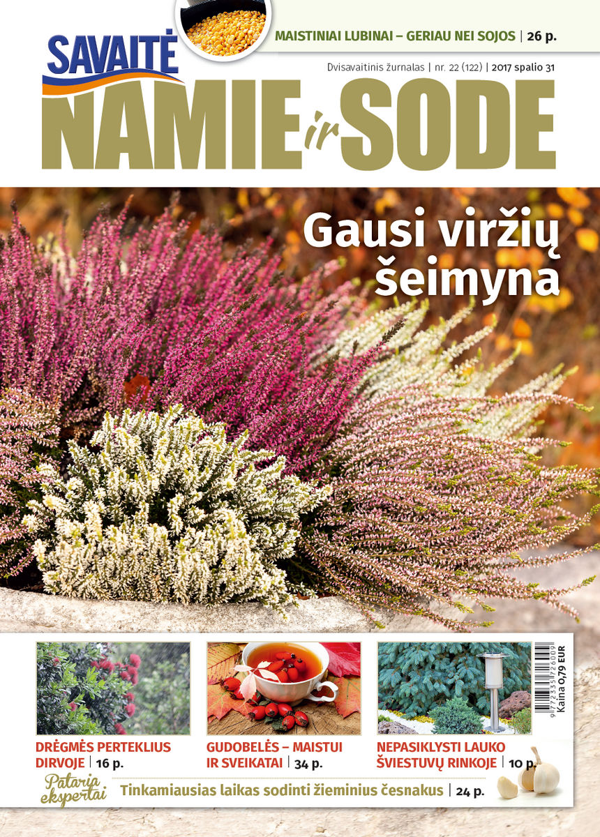 Namie Ir Sode 22 (2017)