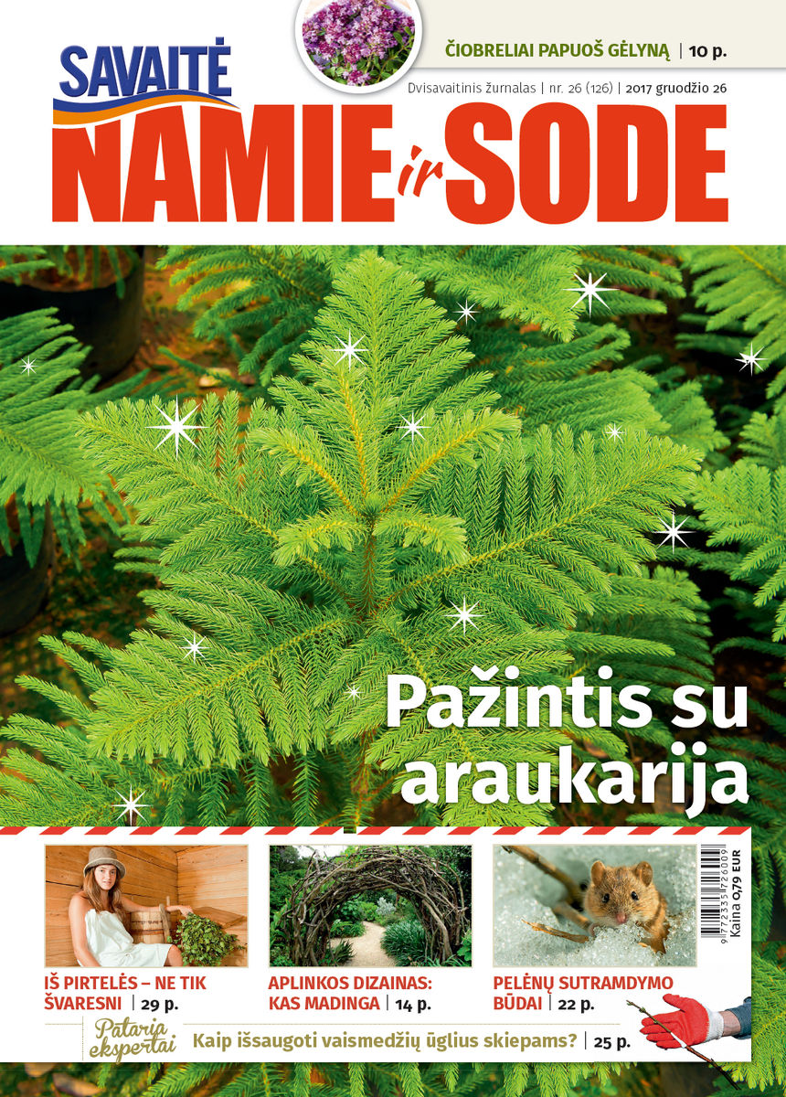 Namie Ir Sode 26 (2017)