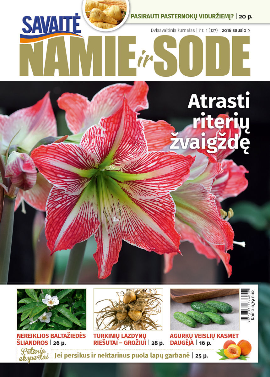 Namie Ir Sode 01 (2018)