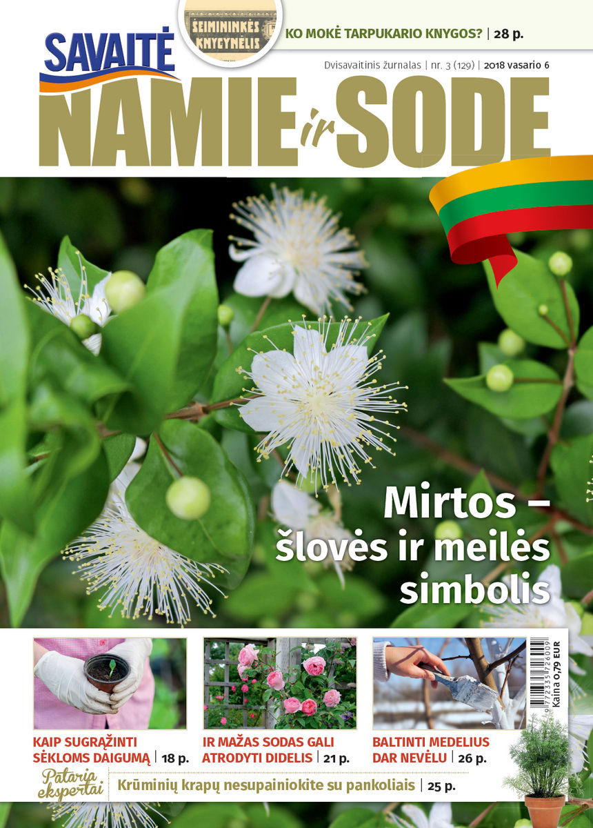 Namie Ir Sode 03 (2018)