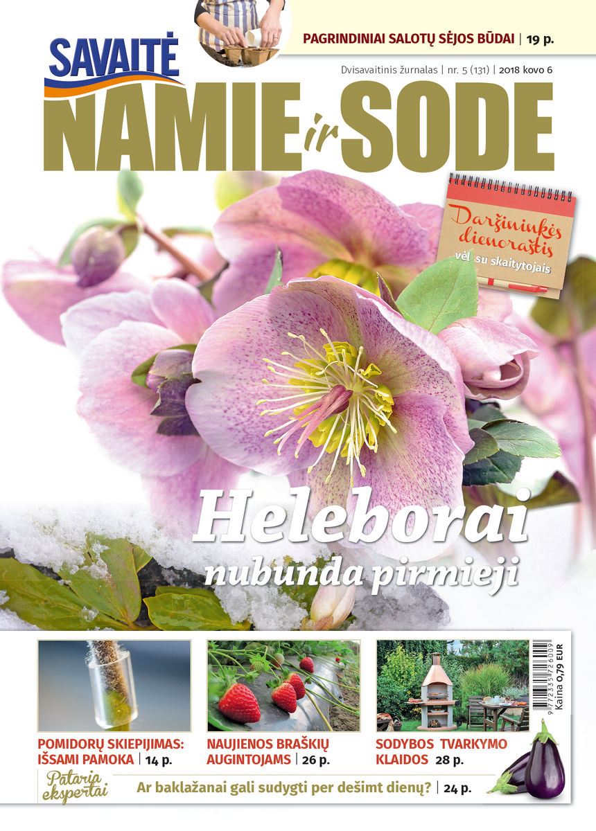 Namie Ir Sode 05 (2018) Namie Ir Sode 05 (2018)