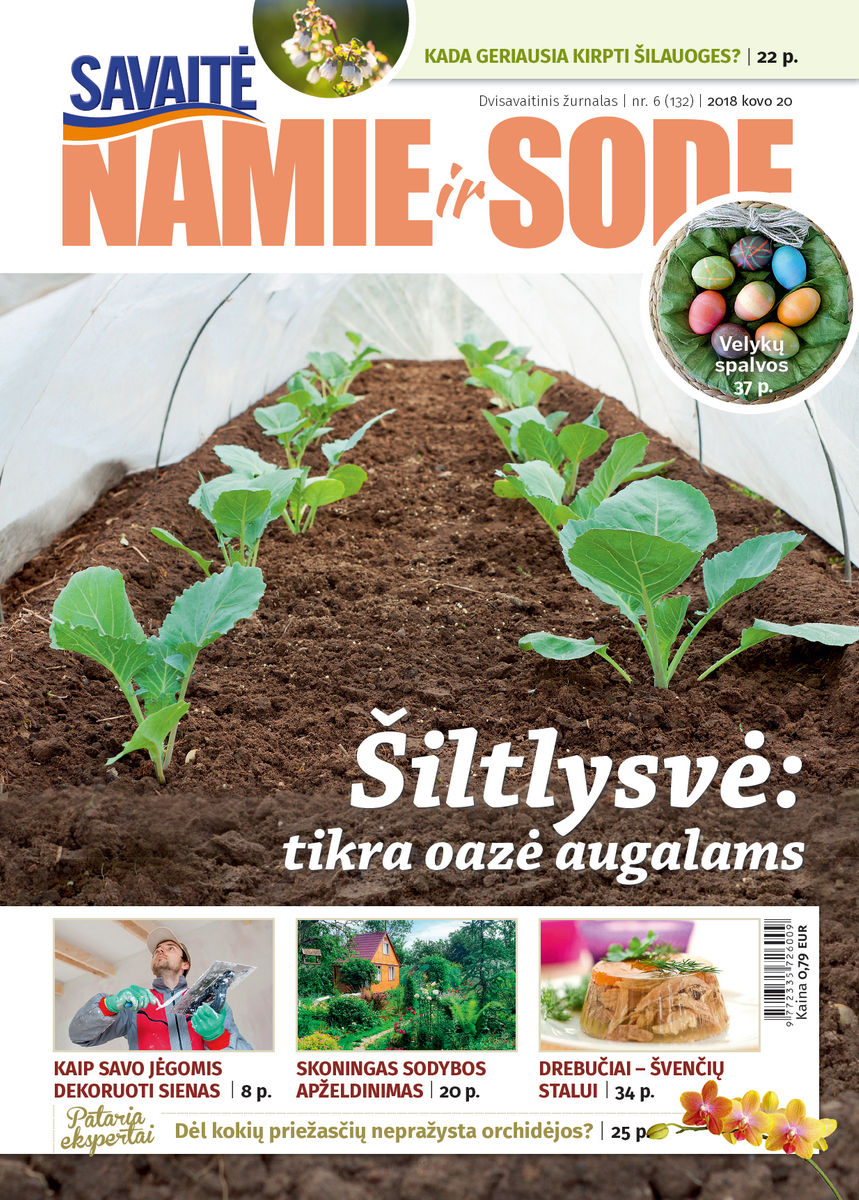 Namie Ir Sode 06 (2018) Namie Ir Sode 06 (2018)