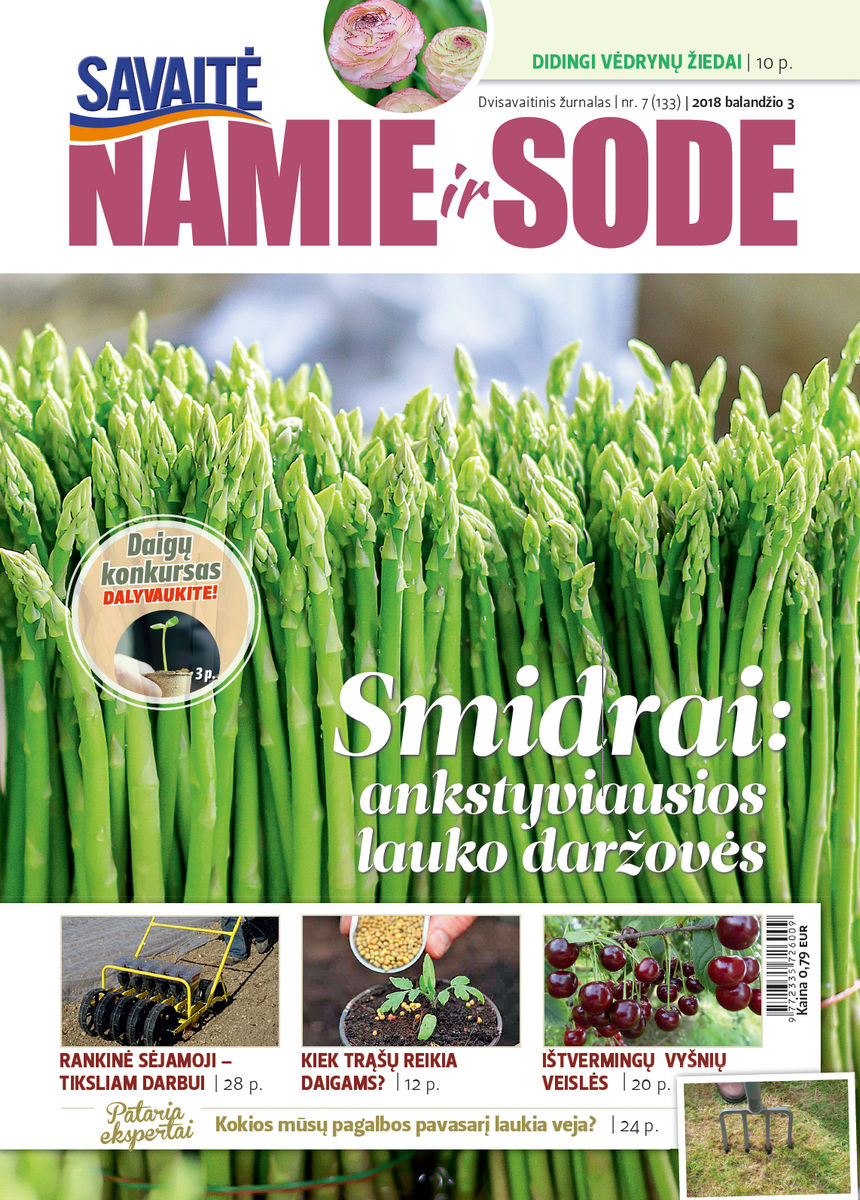 Namie Ir Sode 07 (2018)