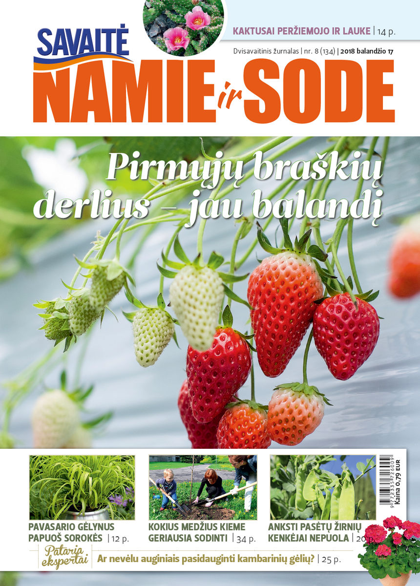 Namie Ir Sode 08 (2018)