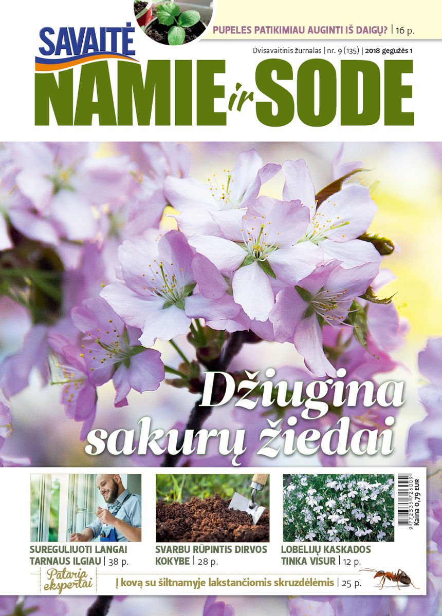 Namie Ir Sode 09 (2018)