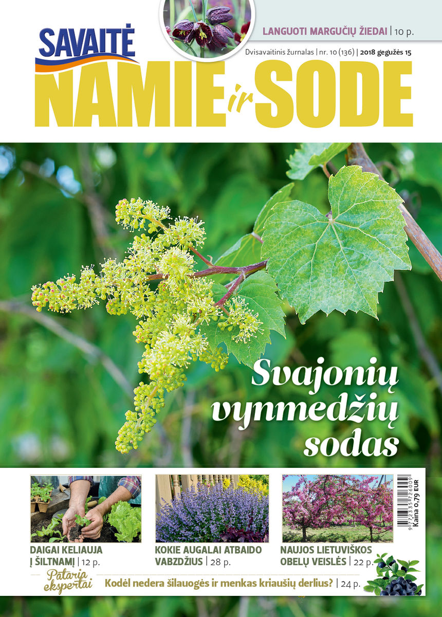 Namie Ir Sode 10 (2018)