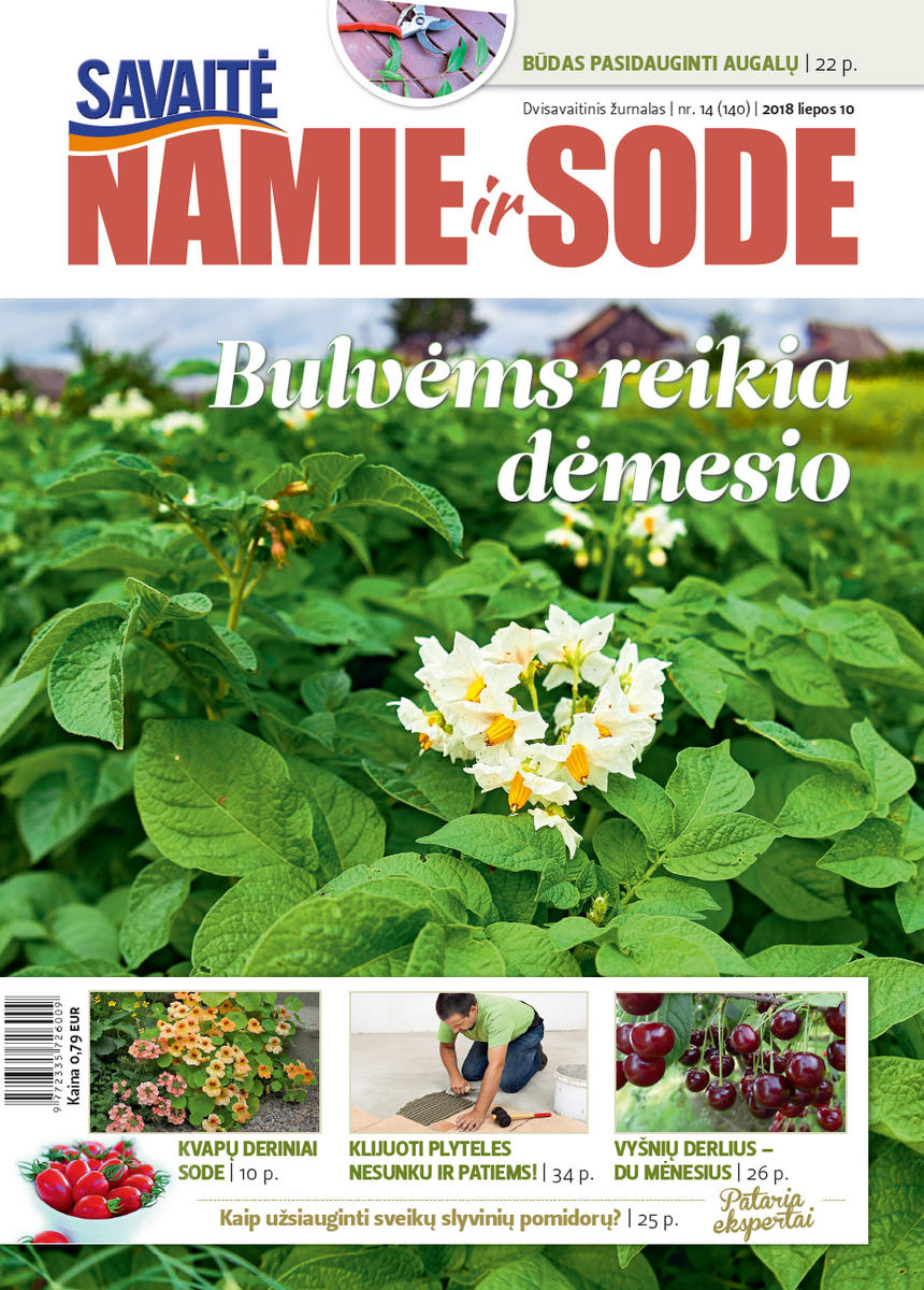 Namie Ir Sode 14 (2018)