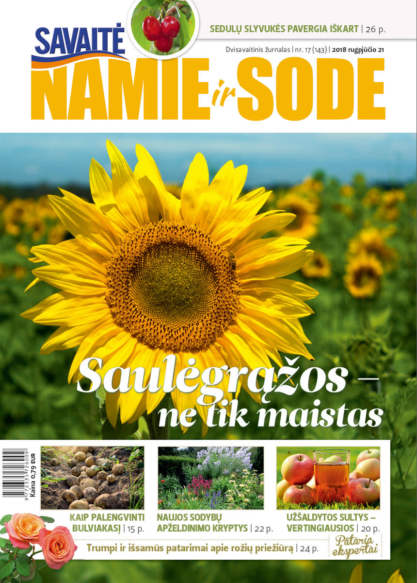 Namie Ir Sode 17 (2018) Namie Ir Sode 17 (2018)