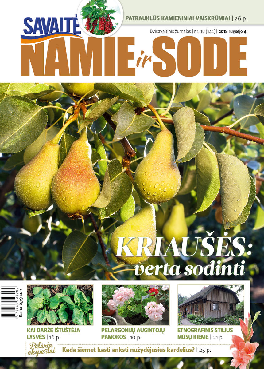 Namie Ir Sode 18 (2018)