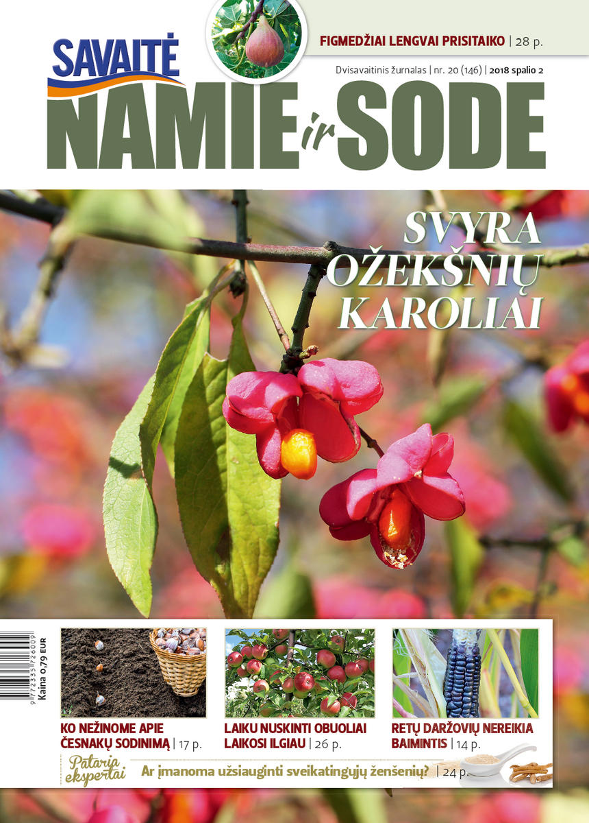 Namie Ir Sode 20 (2018)