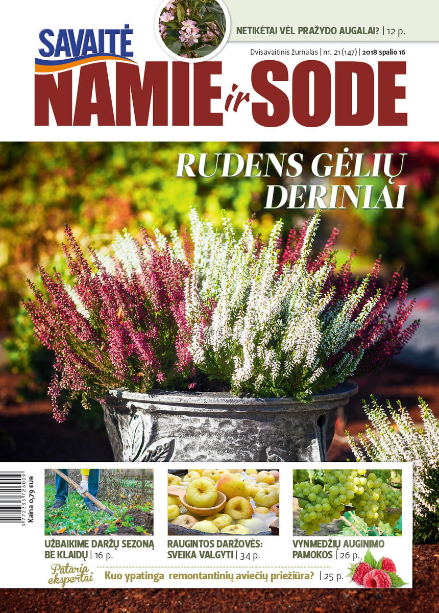 Namie Ir Sode 21 (2018)