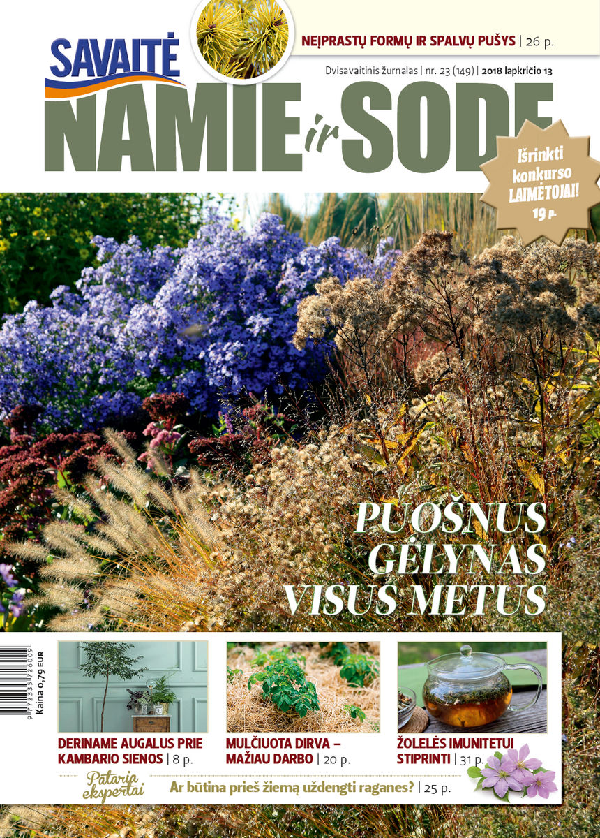 Namie Ir Sode 23 (2018) Namie Ir Sode 23 (2018)