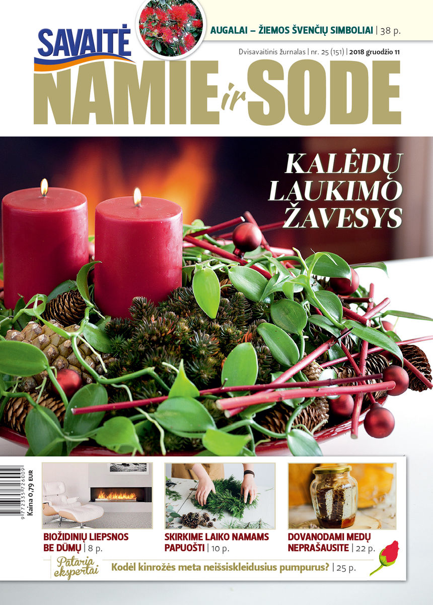 Namie Ir Sode 25 (2018)