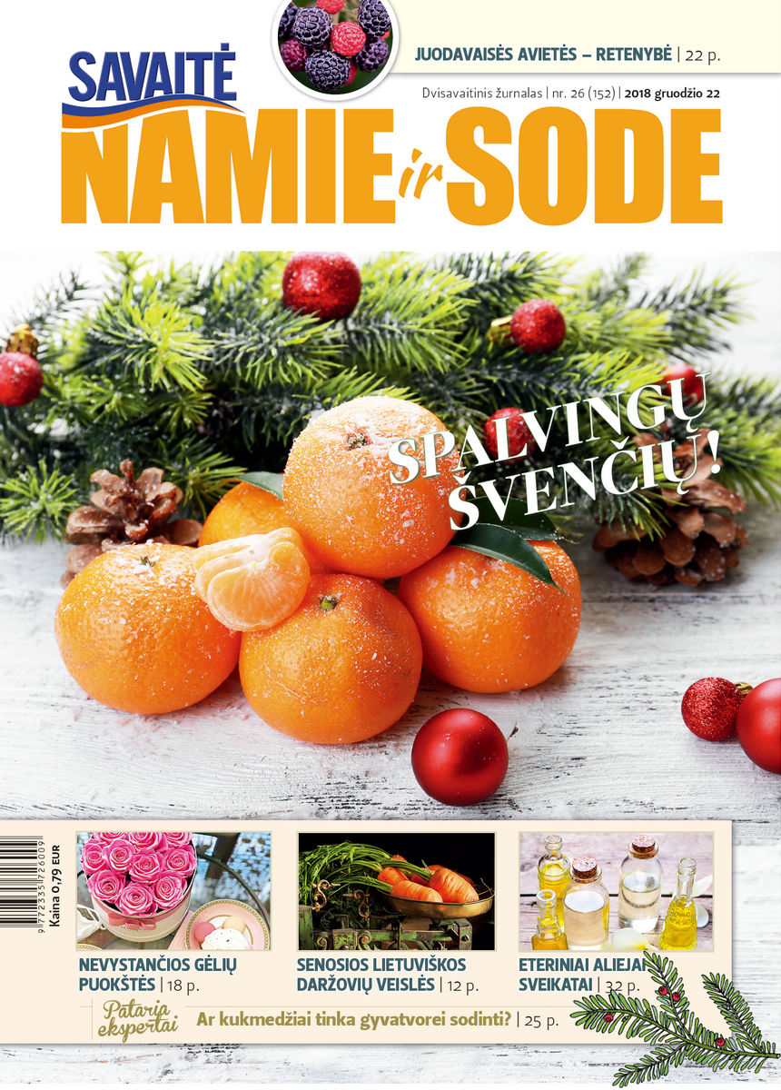 Namie Ir Sode 26 (2018) Namie Ir Sode 26 (2018)