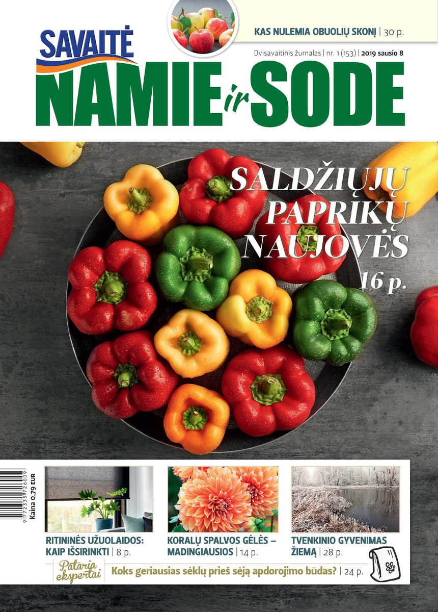 Namie Ir Sode 01 (2019) Namie Ir Sode 01 (2019)