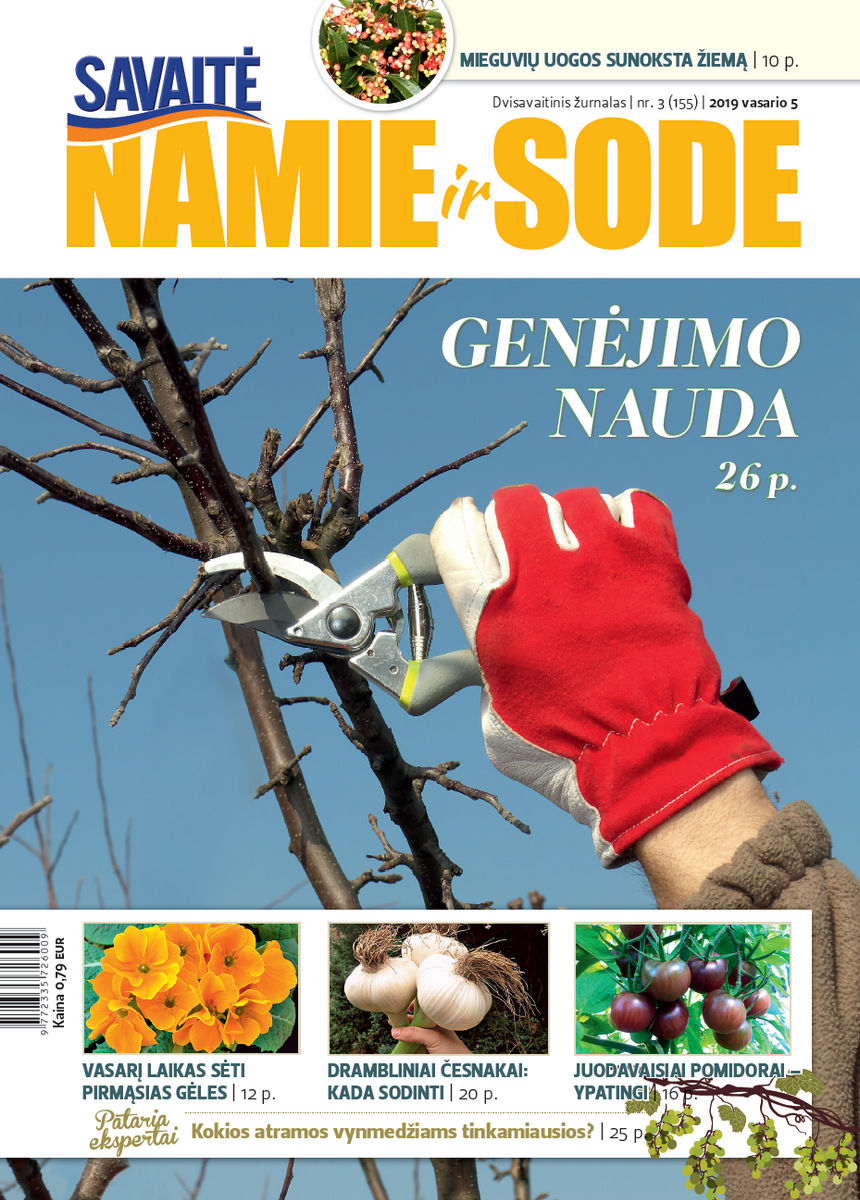 Namie Ir Sode 03 (2019)