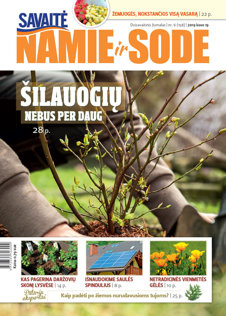 Namie Ir Sode 06 (2019) Namie Ir Sode 06 (2019)